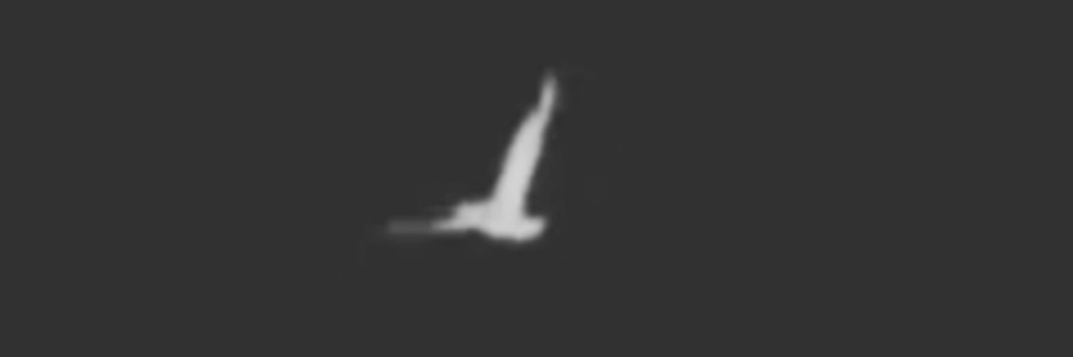 nothingbut66's profile banner image