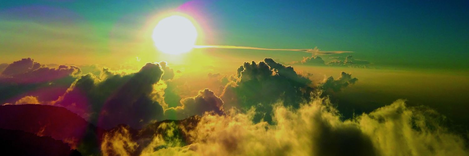 PtilopsisLcts's profile banner image