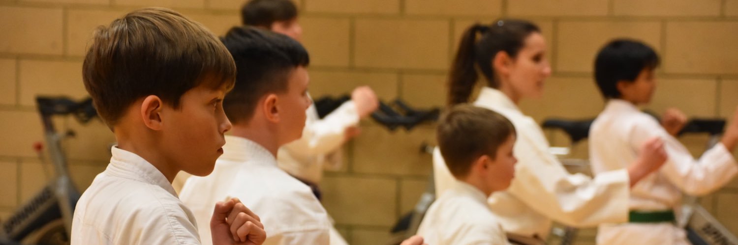 Chelms_Karate's profile banner image