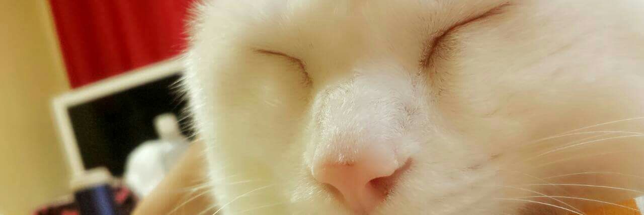 YuKa_1503's profile banner image