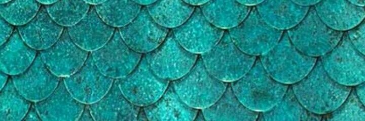 Orrax_Alguem's profile banner image