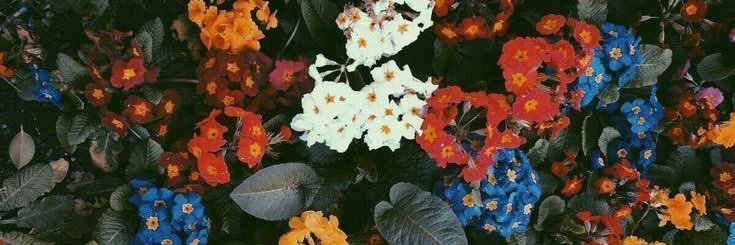LaraaCroft_'s profile banner image