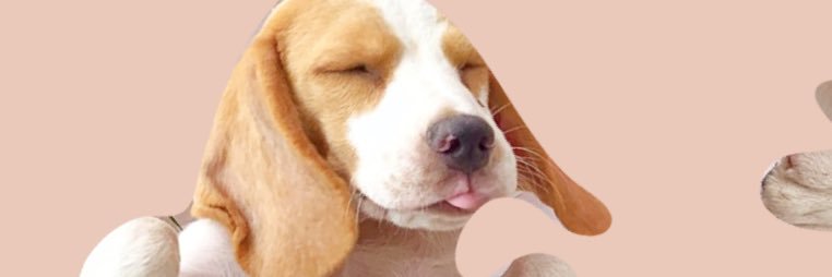 MAKquaaack's profile banner image