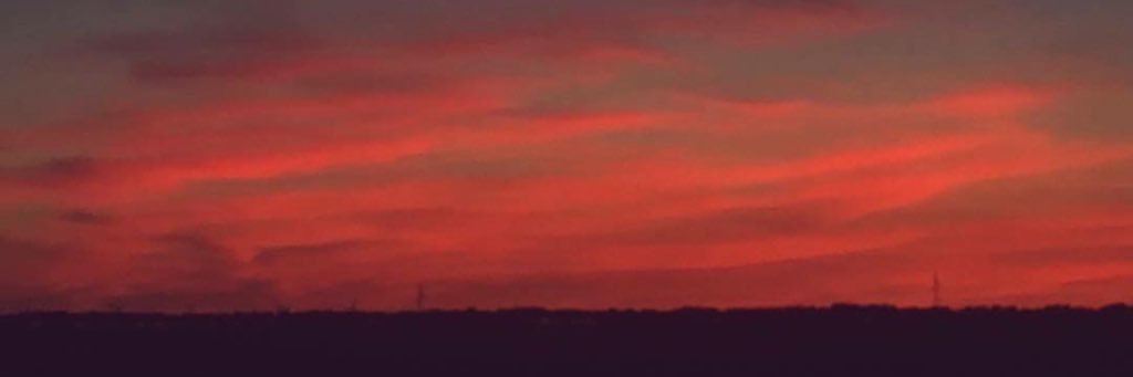 raqueljaro's profile banner image