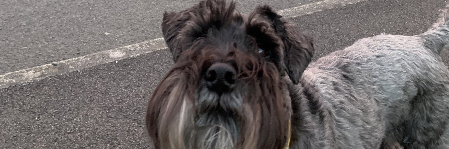 erinwhyte3's profile banner image