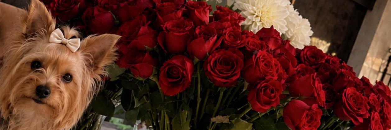 _thailin's profile banner image