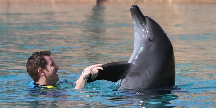 Declan Doherty banner