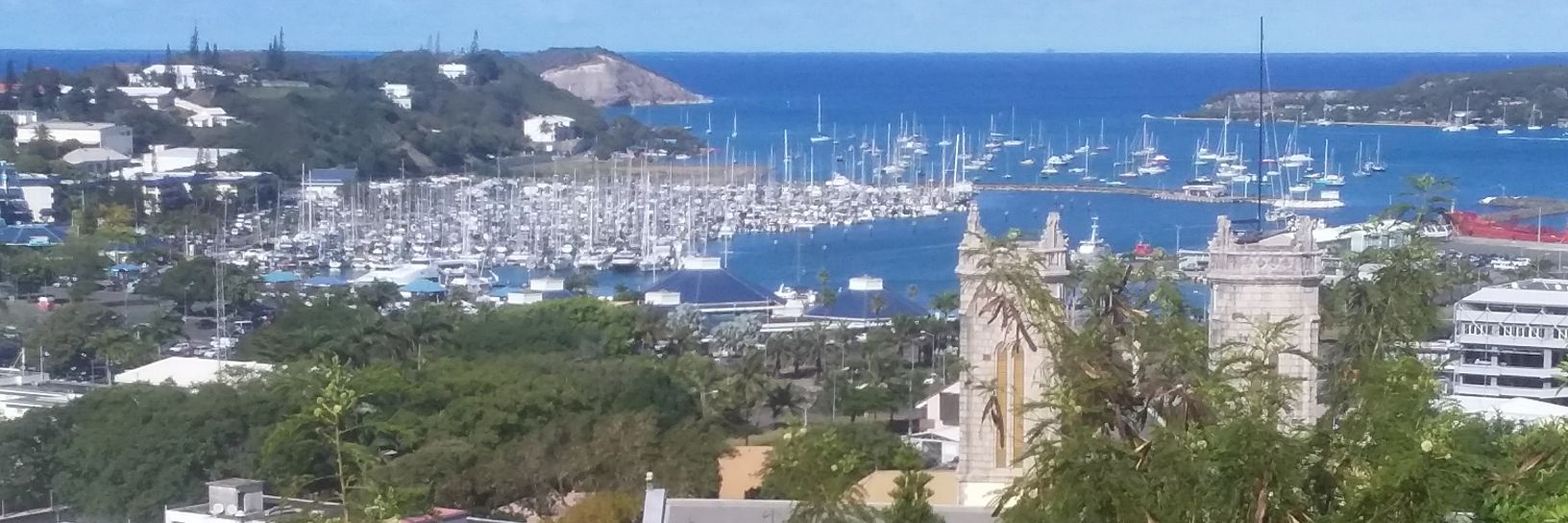 christopher lee banner