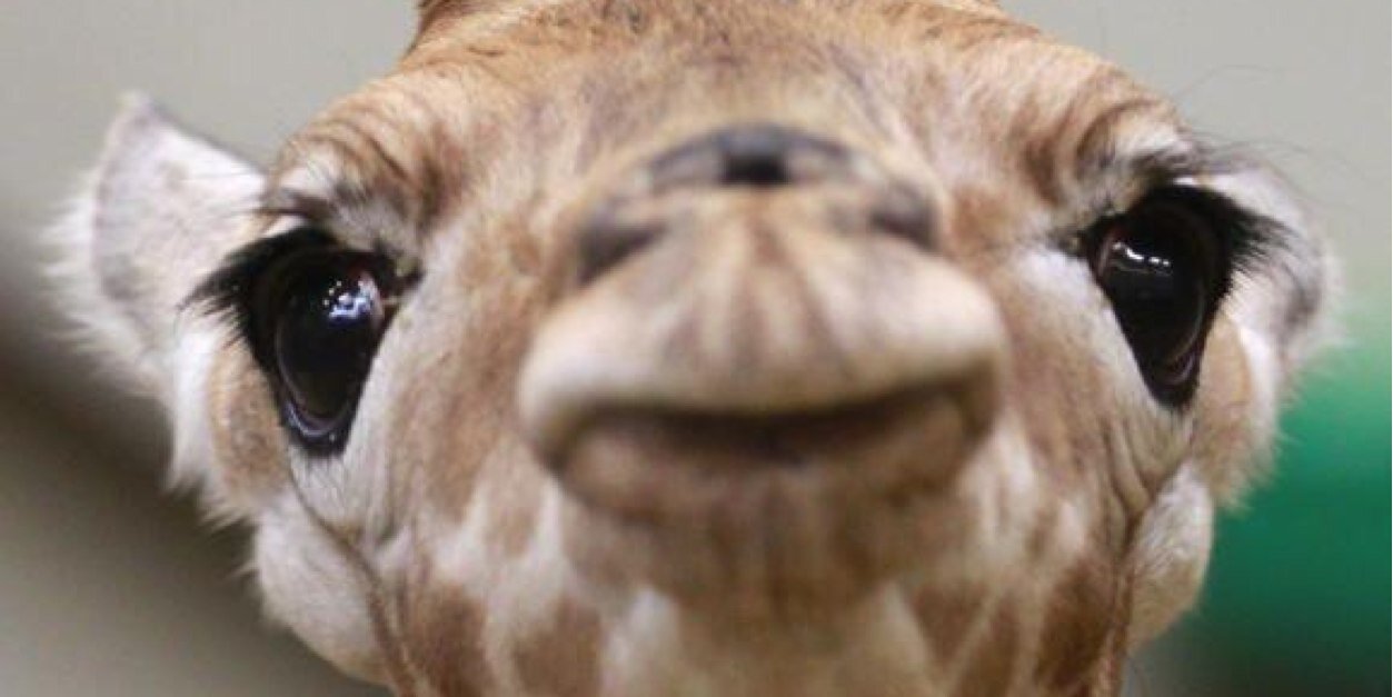 LucyEdg11's profile banner image