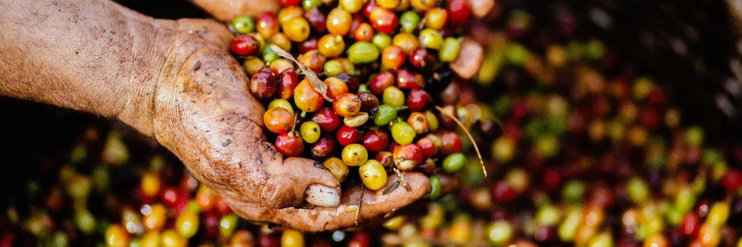 Food Geographies banner