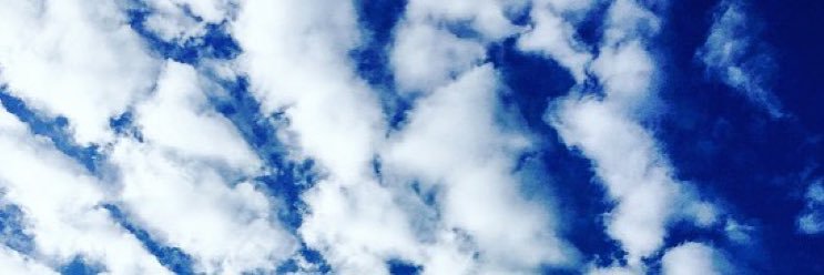 ellahewertson's profile banner image
