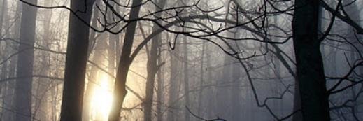 AKingdomofProse's profile banner image