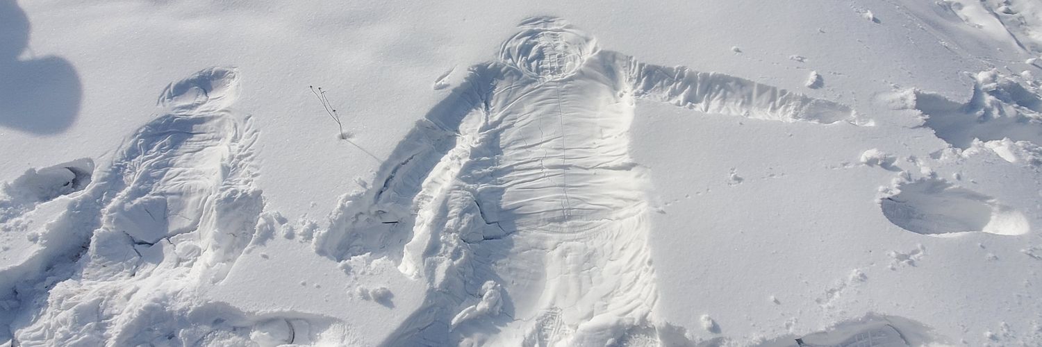 ざらつくだにー banner