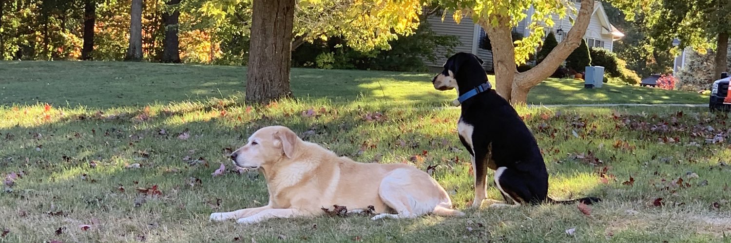 Christian Perez banner