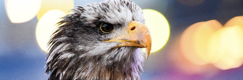 dadofPandB's profile banner image