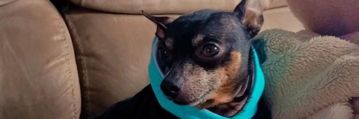 JaklinedeAssis's profile banner image