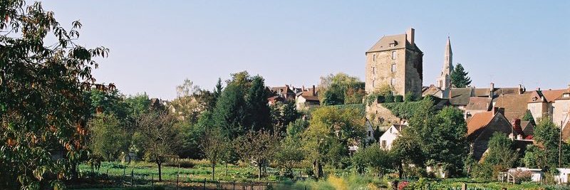 Nicolas Forissier banner