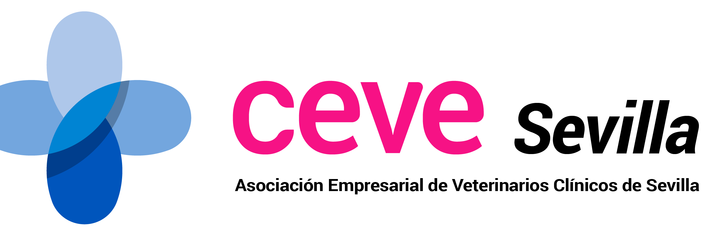 aevecs's profile banner image
