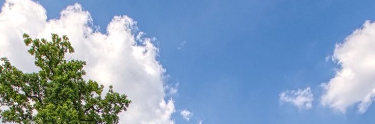 alyassi_r's profile banner image