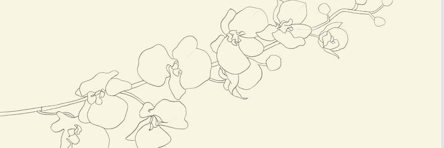 hapawitch's profile banner image