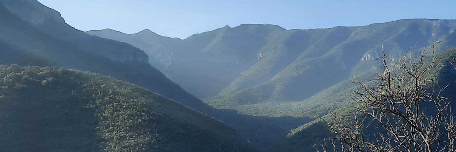 rigoo45's profile banner image