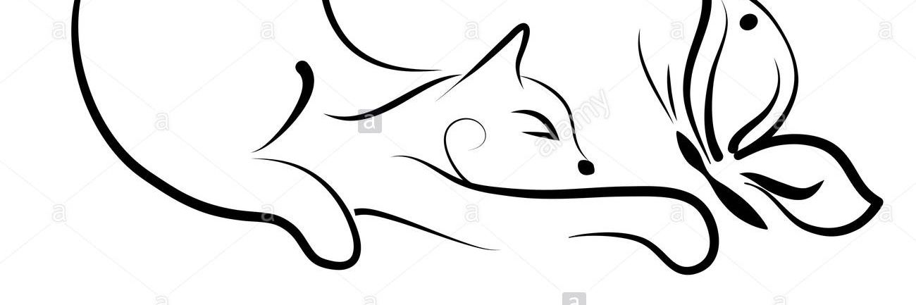 คุณอิซาbel ZS 🐨🐰⁷ banner