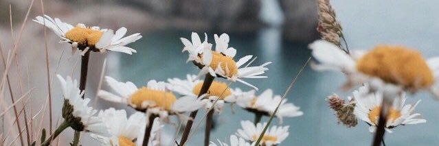 imKATElingz's profile banner image