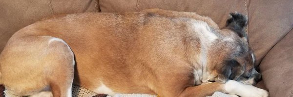 tracywine145 Profile Banner