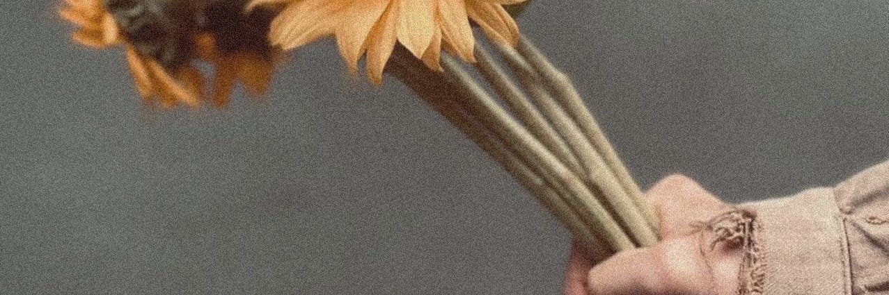 00_em87's profile banner image
