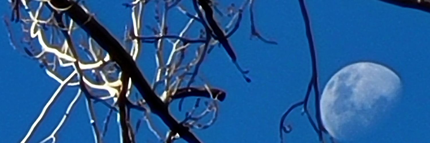 JosAlbertoPonce's profile banner image