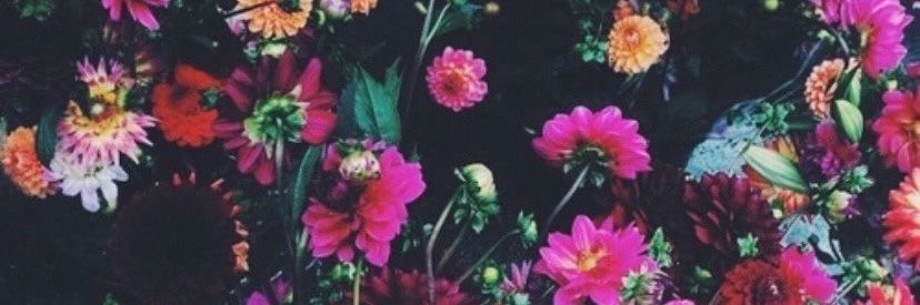 kgreen327's profile banner image