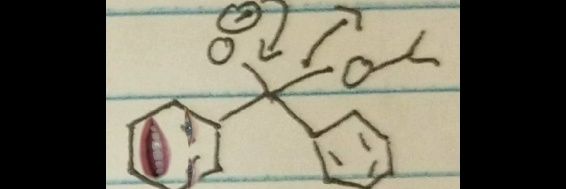 Kelly And Webb jr. banner