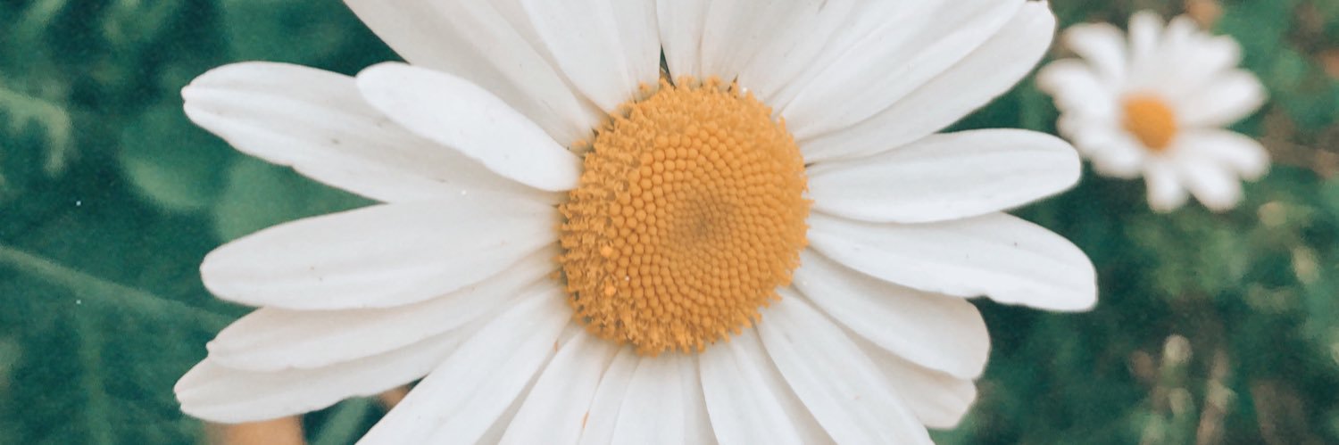 CharmedNature's profile banner image