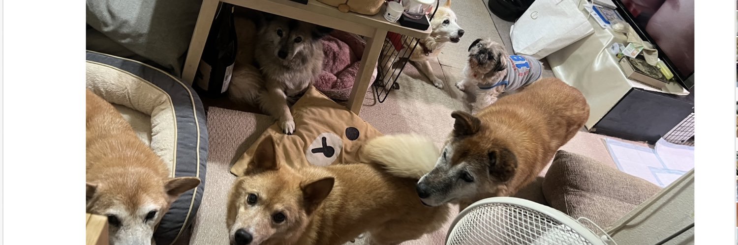 あっこ🍈🫧 banner