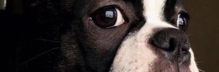 Lcolley12's profile banner image