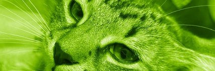 brittyluvsanime's profile banner image