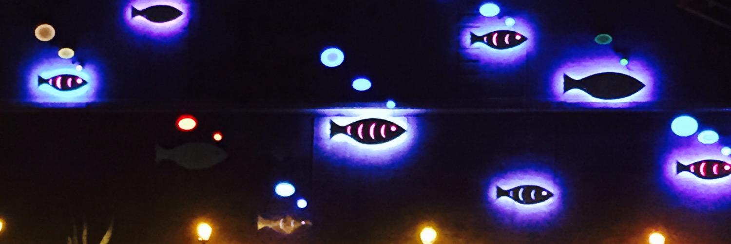 MKEFish's profile banner image