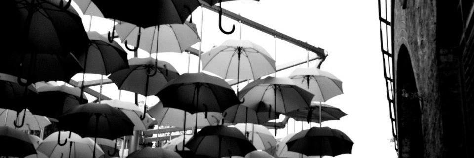 Carlos_nickles's profile banner image