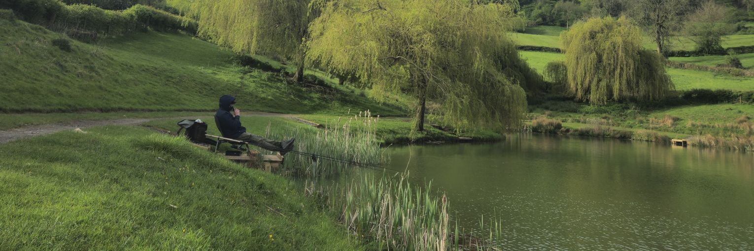 Webbomaate's profile banner image