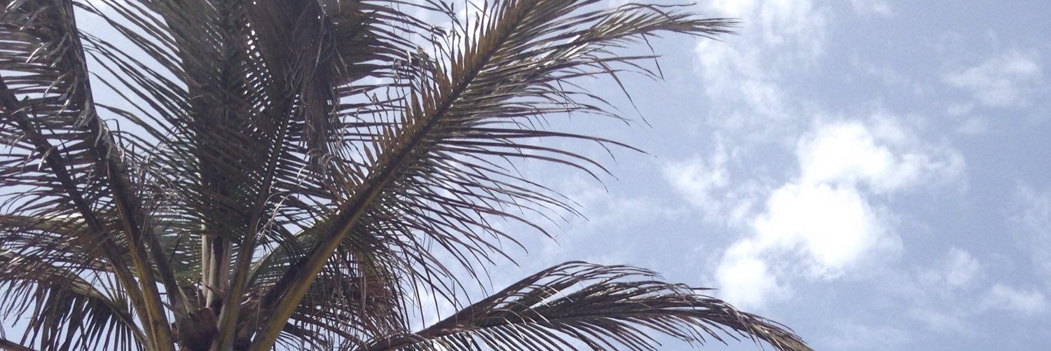 Joly_C's profile banner image