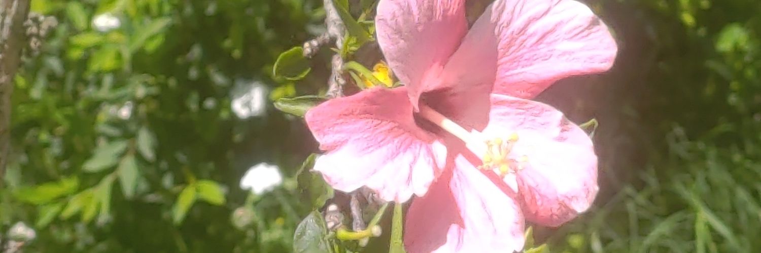 Nadiadr80's profile banner image
