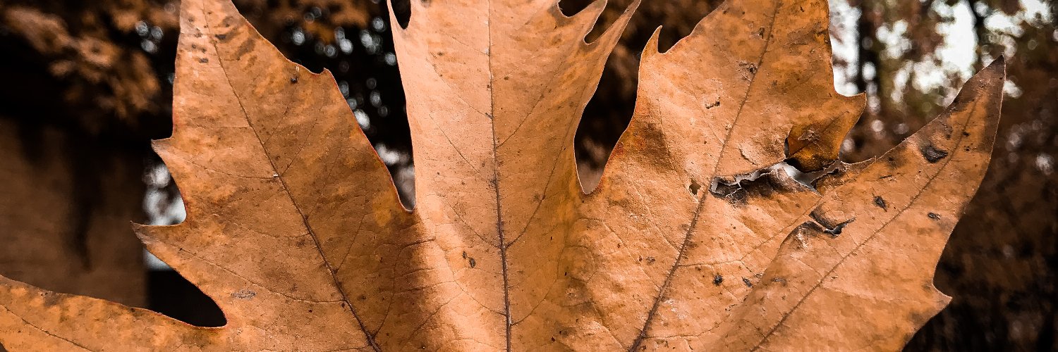 faisel_sam's profile banner image