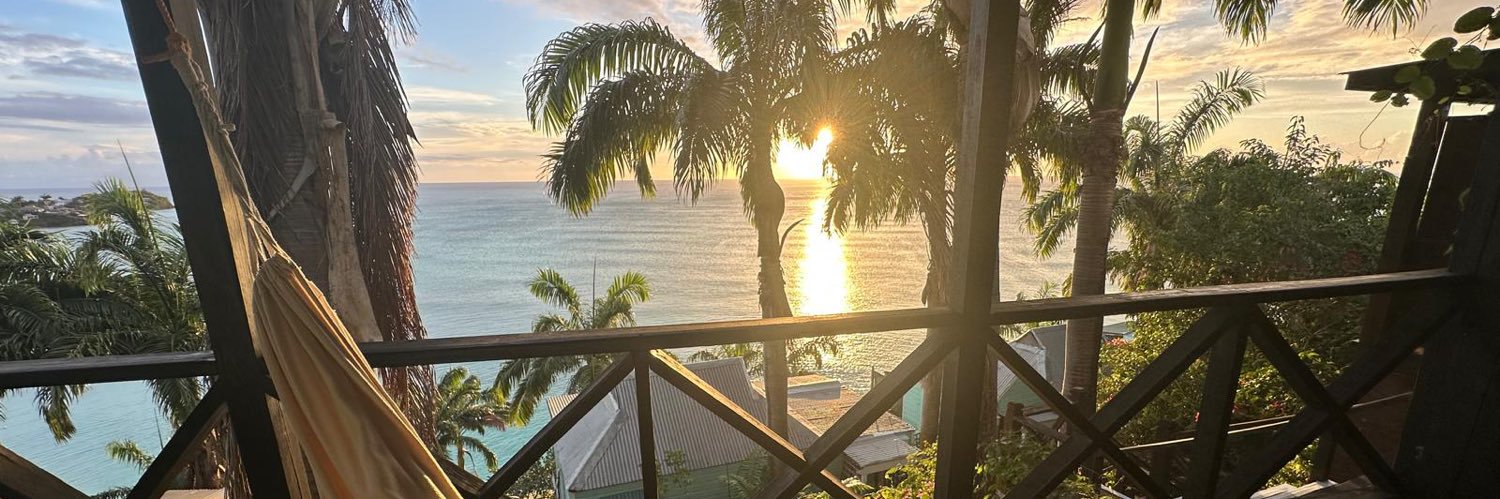 Emma✈️🗺️🚤 banner