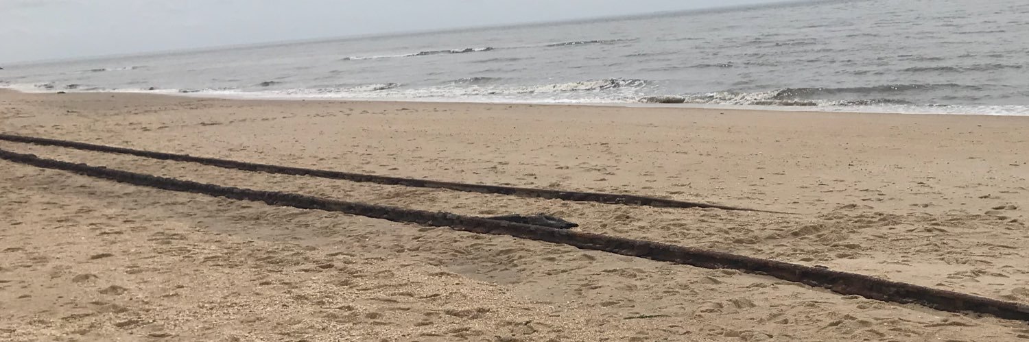 traceymcnj's profile banner image