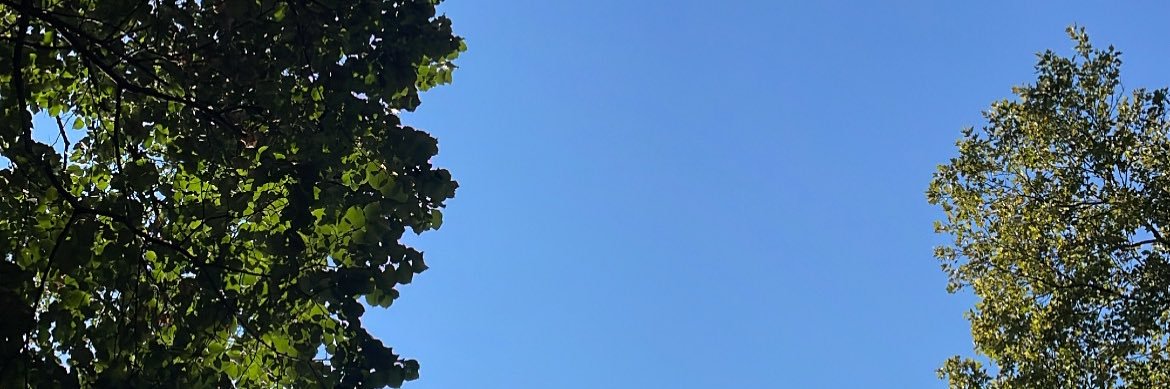 AaronMHowell's profile banner image