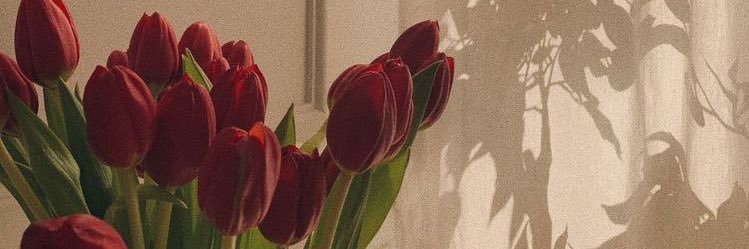 휴먼다큐사람이(가끔)싫다's banner