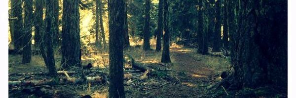 De_Walde's profile banner image