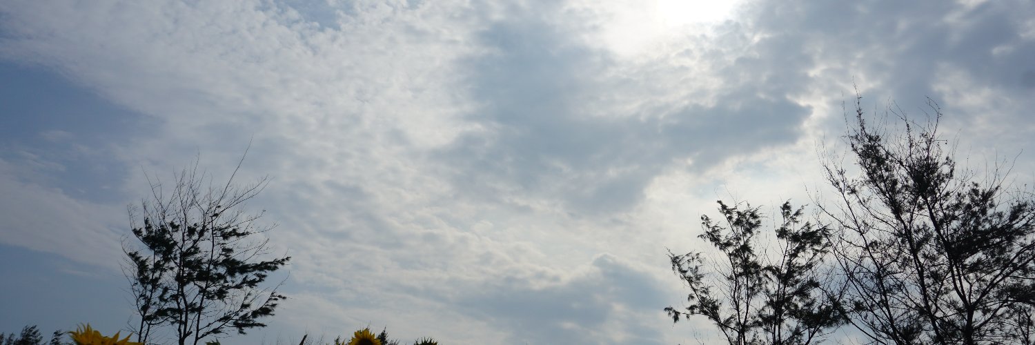 franchukie's profile banner image