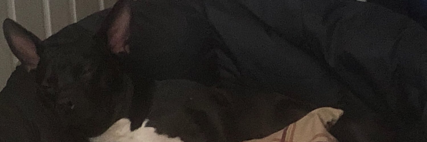 THEHOMIEGABE's profile banner image