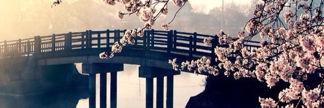 kaitta's profile banner image